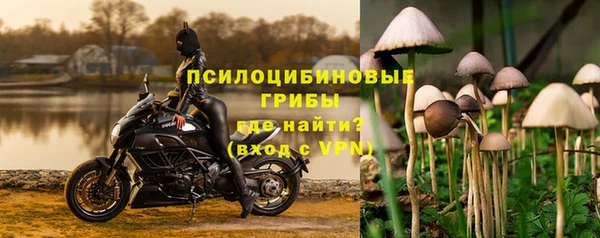 mdpv Горнозаводск