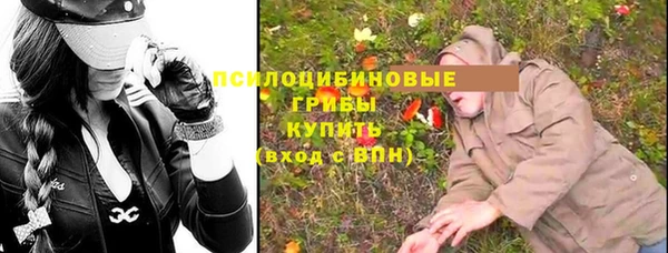 mdpv Горно-Алтайск