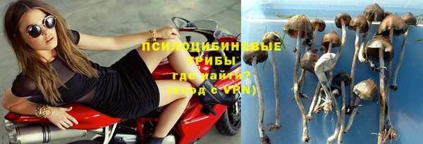 герыч Горняк
