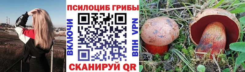 Галлюциногенные грибы GOLDEN TEACHER  Купить закладки  Новомосковск 